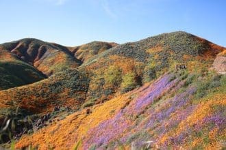 Representative picture. Image Source: Angelica Reyn from Pexels/Canva