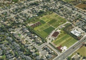 City of Goleta to Hold Fairview Gardens Historic Farmhouse Public Hearing