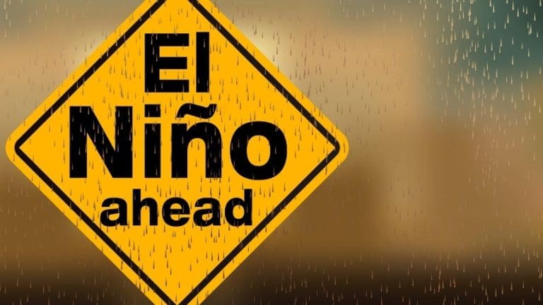 Representational picture. Image Source: FrozenShutter/Canva