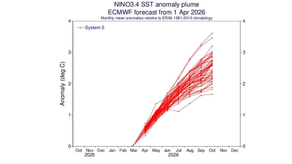 NINO3.4 plume forecast showing projected sea surface temperature anomalies. Image Source: ECMWF