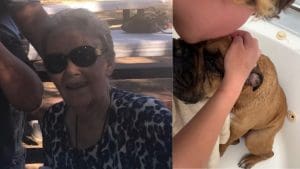 Goleta Family Appeals for Community Support After Fire Tragically Claims Lives of Elderly Woman, Two Pets