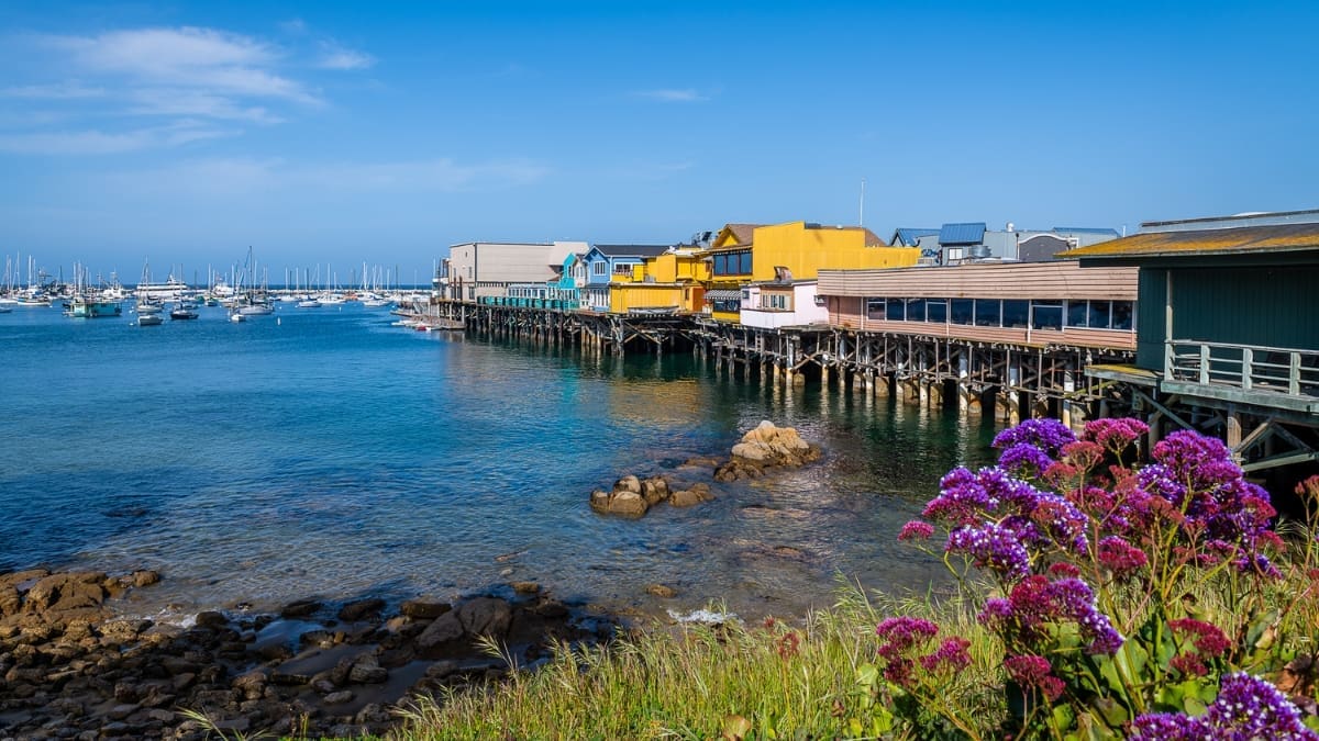 Representative picture of Monterey. Image Source: Chris LaBlasco/Canva