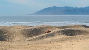 Oceano Dunes Shuts Down Camping and Off-Highway Vehicle Use After Court Ruling
