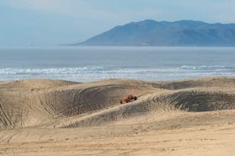 A section of the Oceano Dunes State Vehicular Recreation Area will temporarily close to camping and off-highway vehicle use. Image Source: Oceano Dunes District-Pismo/Facebook