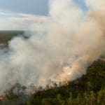 Representative of a prescribed burn. Image Source: Bilanol/Canva