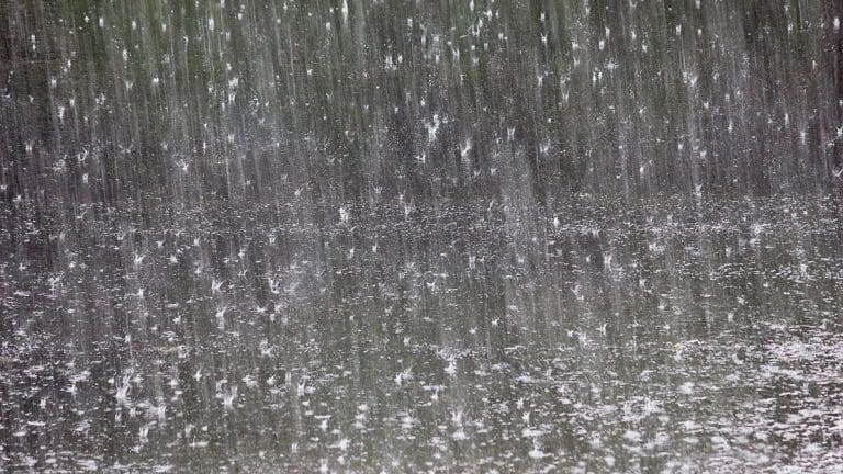 Representational picture. Image Source: Yaroslava Pravedna/Canva