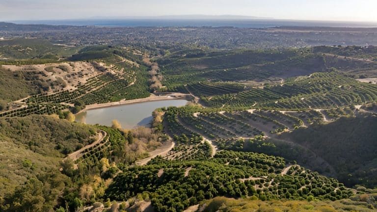 Riviera Avocado Grove, Santa Barbara County. Image Source: FarmTogether