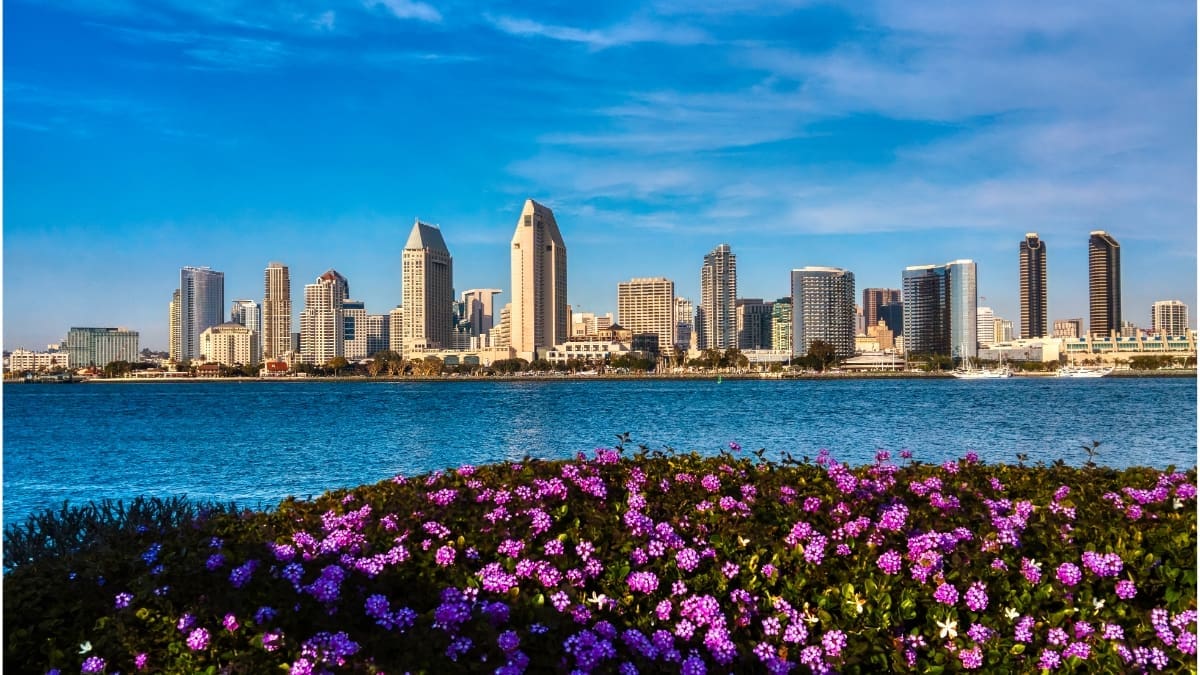 Representative picture of San Diego. Image Source: jmichaelmedia/Canva