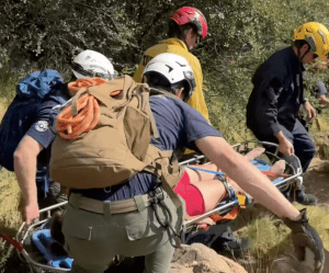 Rattlesnake Bite Prompts Rescue on Montecito Trail; Hiker Uses Text and Whistle to Summon Help