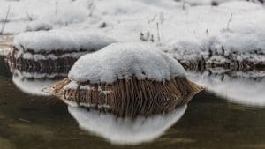 California’s Snowpack Drops to Record Low of 10-20%, Sparking Early Wildfire Concerns