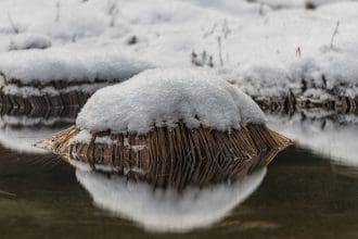 Representative picture of snowpack. Image Source: jeremyborkat/Canva