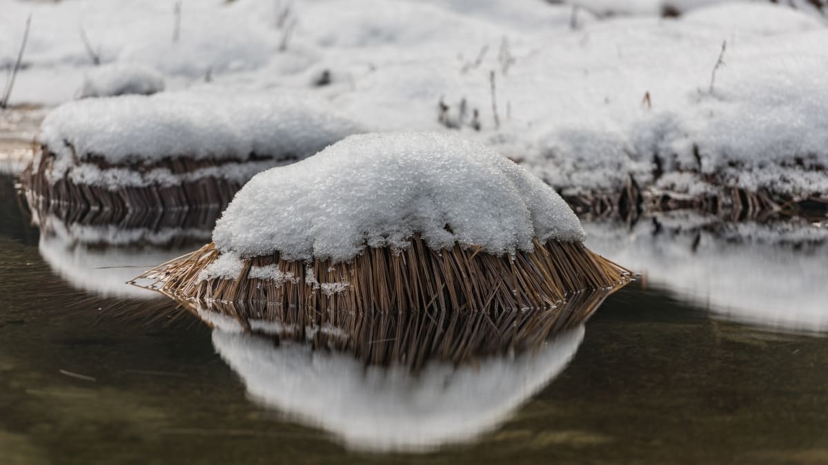 Representative picture of snowpack. Image Source: jeremyborkat/Canva