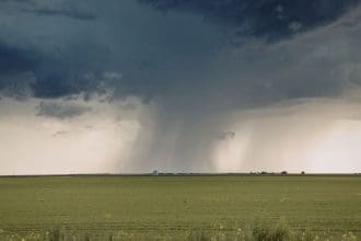 Representational picture. Image Source: Moisescu Florentina’s/Canva