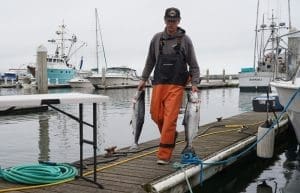 Ocean Salmon Comeback Continues in California