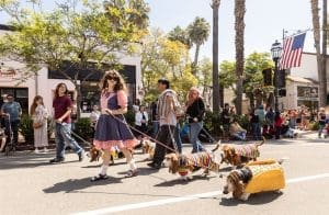 The First Old Spanish Days Fiesta Dog Parade Brings Excitement and a Parade to State Street