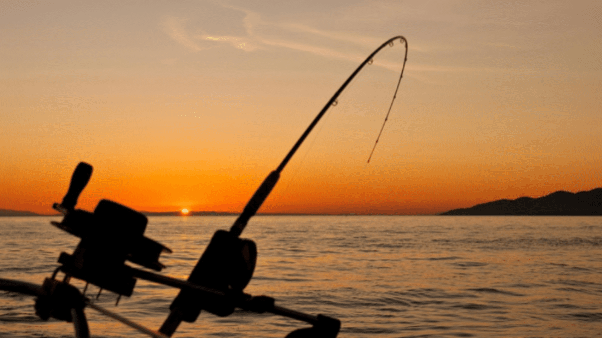 Lompoc Mayor Asks State to Reconsider Long-Standing Surf Beach Fishing ...