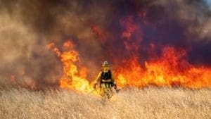 Fast-Moving Sandy Fire in Simi Valley Burns Over 1,300 Acres, Forces Evacuations For Thousands of Residents
