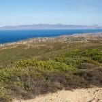 Representative picture of the Santa Rosa Island. Image Source: BlueBarronPhoto/Canva