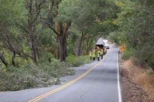 New Funding Available To Help Communities Strengthen Wildfire Resilience
